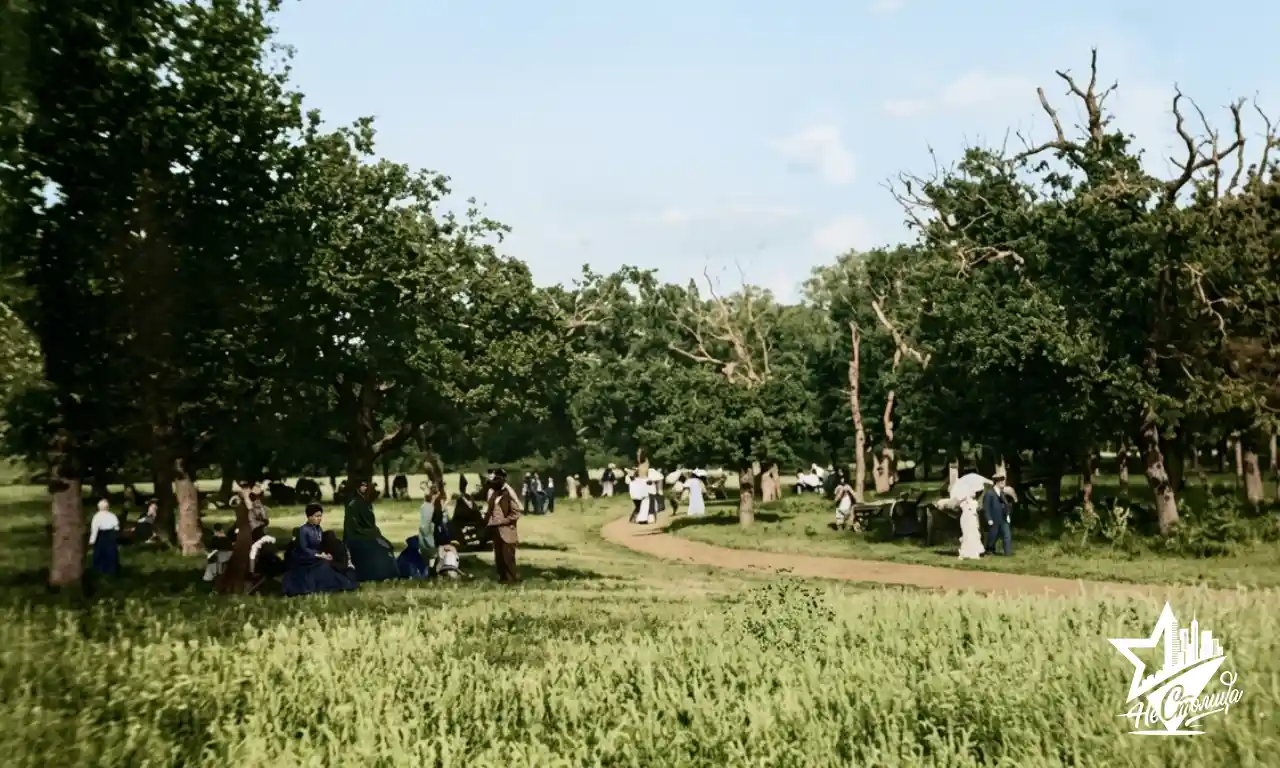 Отреставрированная фотография: роща «Дубки», Таганрог, 1908 год.